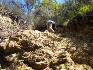 we got super lost...