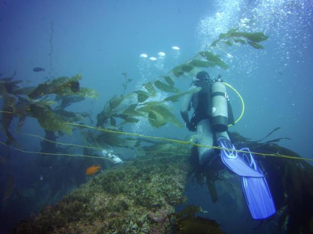 14064095_10210553118929232_8712437710619372412_n