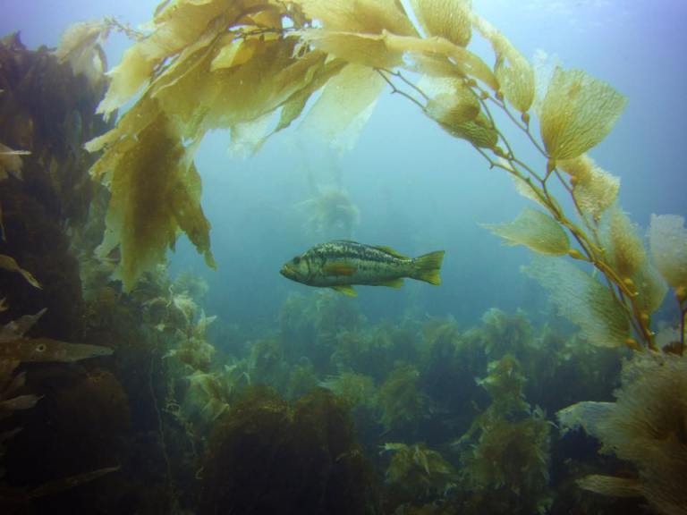 14064242_10210553117449195_1885547186983436933_n