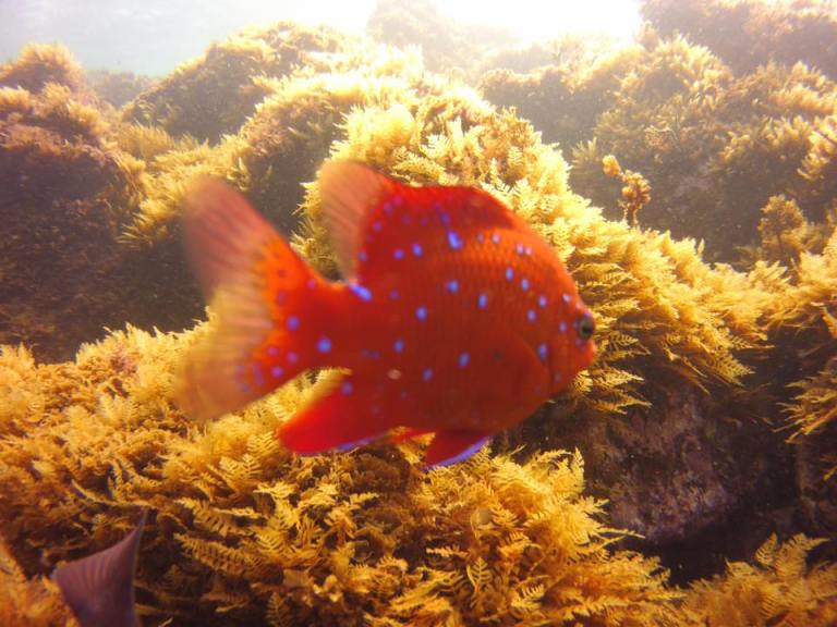 14079802_10210553125969408_4463512730000026073_n