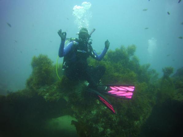 14095805_10210553022446820_6573798031298351842_n