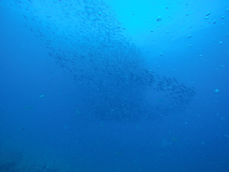 DCIM100GOPROG0699137.