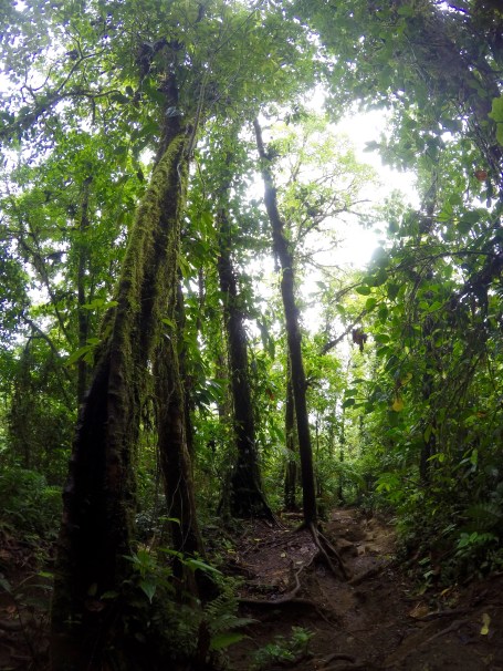 DCIM100GOPROGOPR0371.